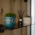 446 Tiny House * Shiroka