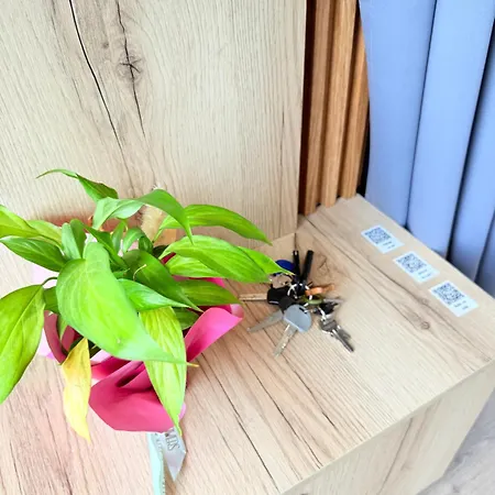 446 Tiny House וילה *