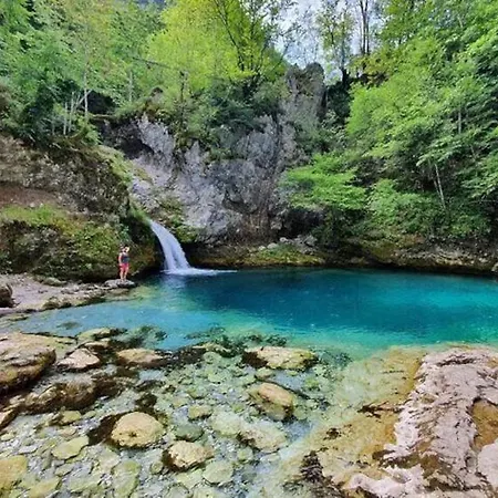 446 Tiny House Villa *