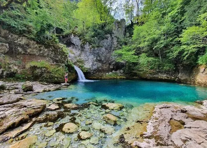 446 Tiny House 别墅 *