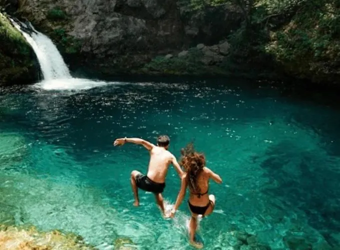 别墅 446 Tiny House *