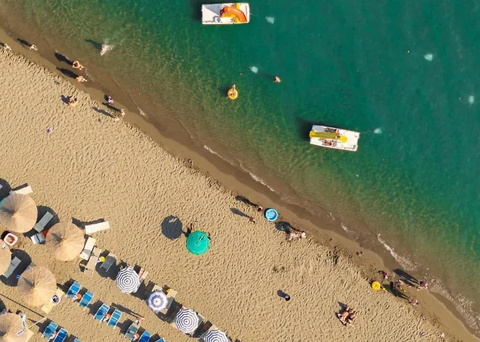 446 Tiny House 别墅 *